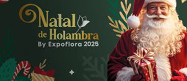 imagem /assets/img/banner-natal.png