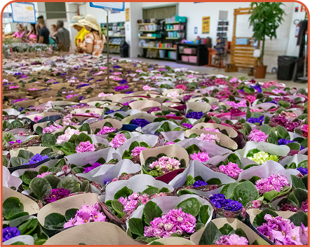 Shopping das Flores
