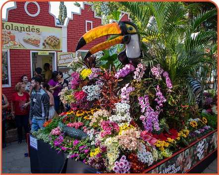 Parada das Flores