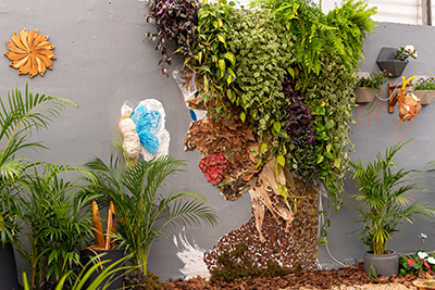 Galeria Expoflora