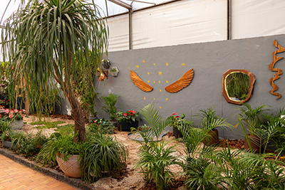 Galeria Expoflora