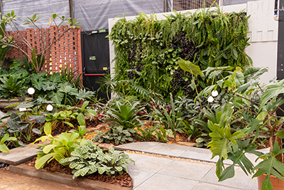 Galeria Expoflora