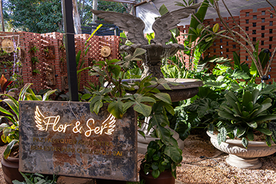 Galeria Expoflora