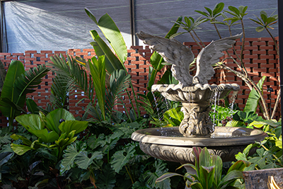Galeria Expoflora