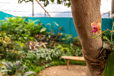 Galeria Expoflora