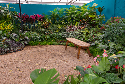 Galeria Expoflora