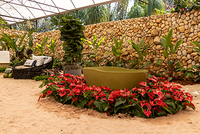 Galeria Expoflora