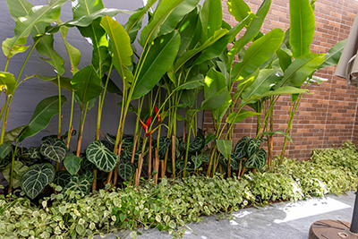 Galeria Expoflora