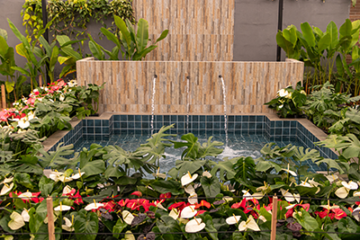 Galeria Expoflora