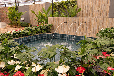 Galeria Expoflora