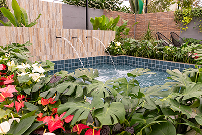 Galeria Expoflora