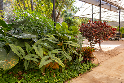 Galeria Expoflora