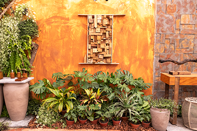Galeria Expoflora