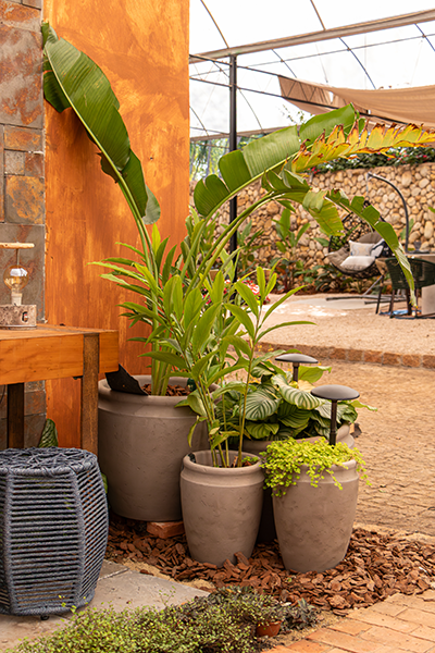 Galeria Expoflora