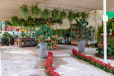 Galeria Expoflora