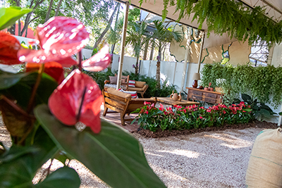 Galeria Expoflora