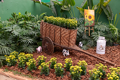 Galeria Expoflora