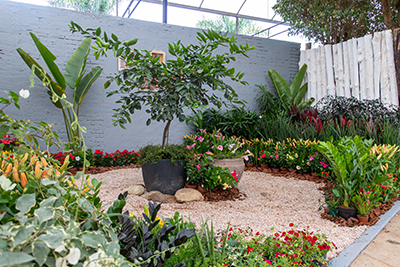 Galeria Expoflora