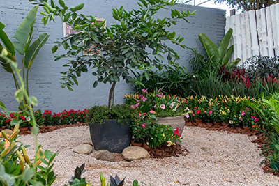 Galeria Expoflora