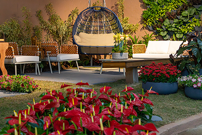 Galeria Expoflora
