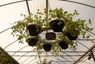 Galeria Expoflora