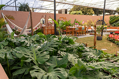 Galeria Expoflora