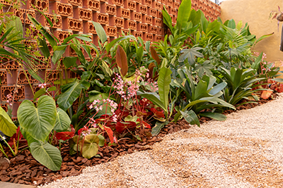 Galeria Expoflora