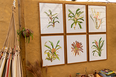 Galeria Expoflora