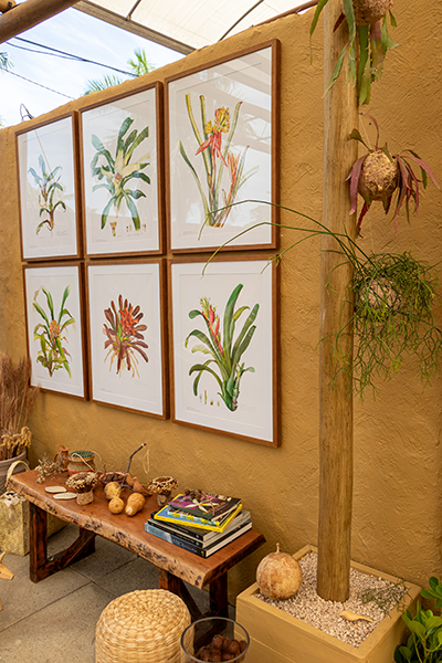 Galeria Expoflora