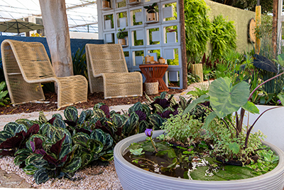 Galeria Expoflora